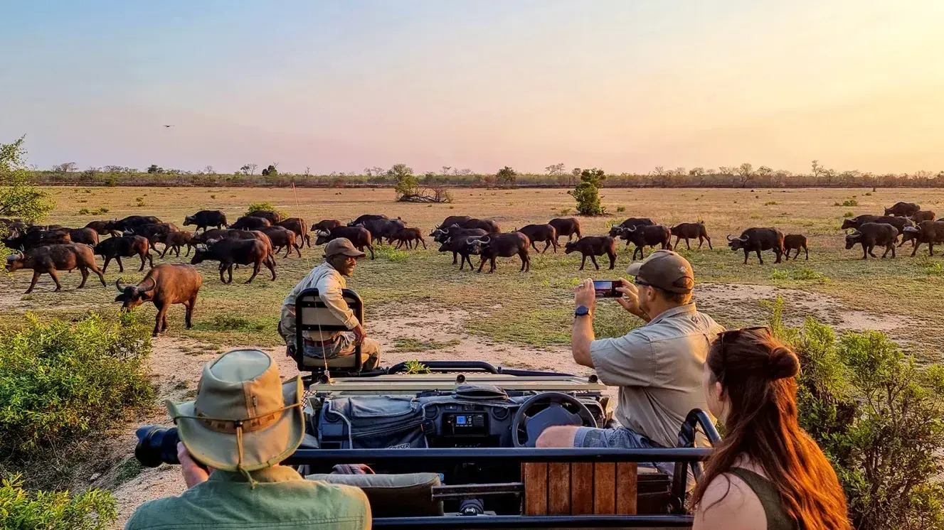 4 Days 3 Nights Jungle Safari And Nature Adventure