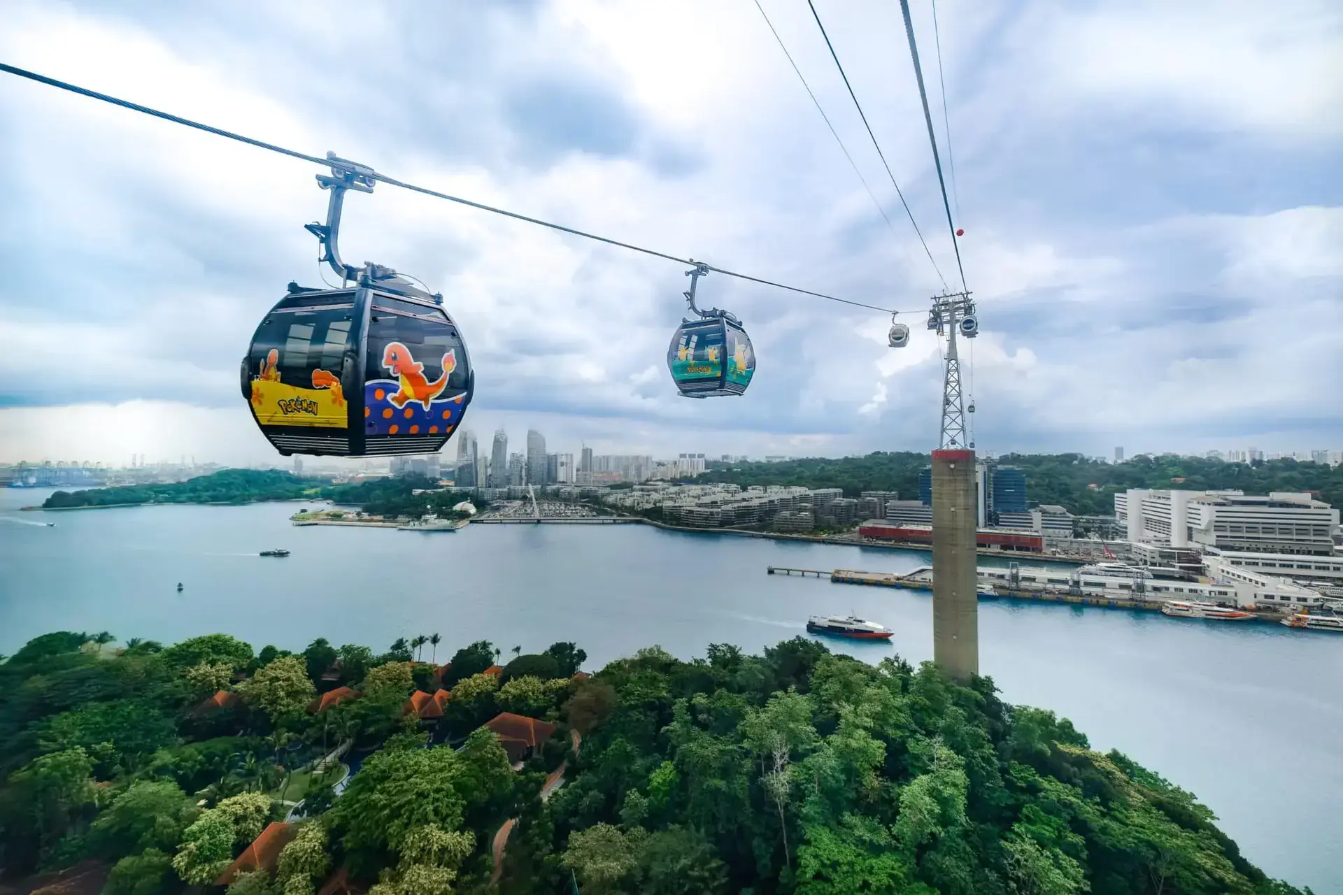 Evening City Lights and Panoramic Views Experience