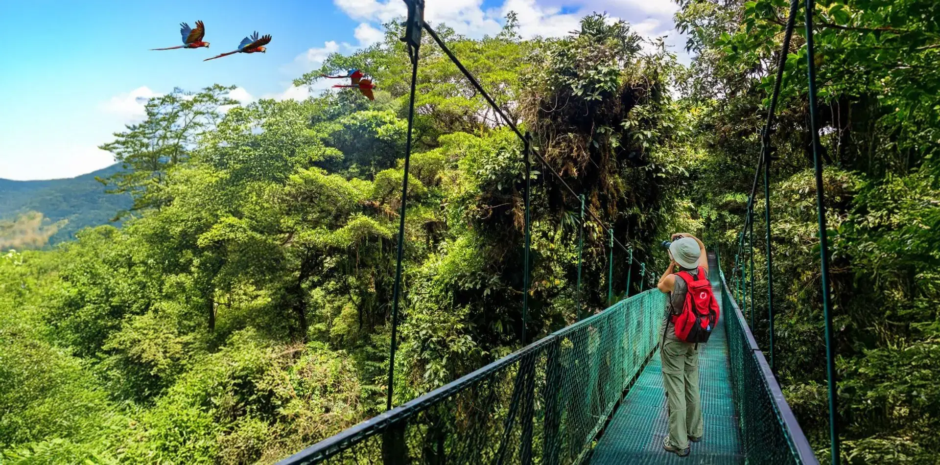 Waterfall Trails and Peaceful Woodland Nature Adventure